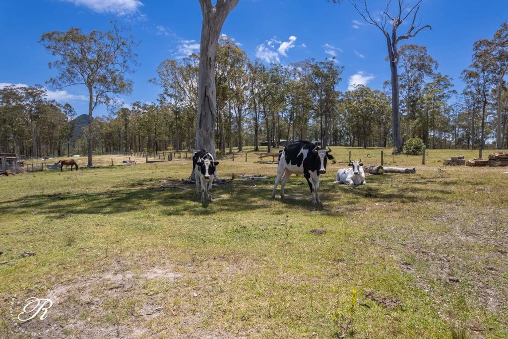 413 The Branch Lane, The Branch, NSW 2425 AUS