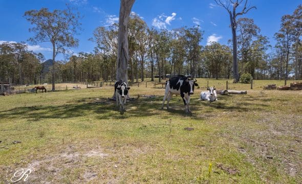 413 The Branch Lane, The Branch, NSW 2425 AUS