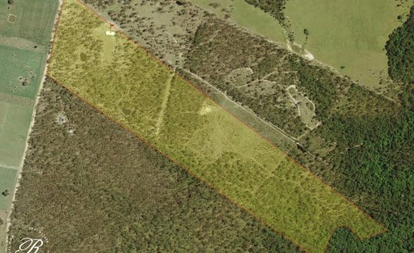 413 The Branch Lane, The Branch, NSW 2425 AUS