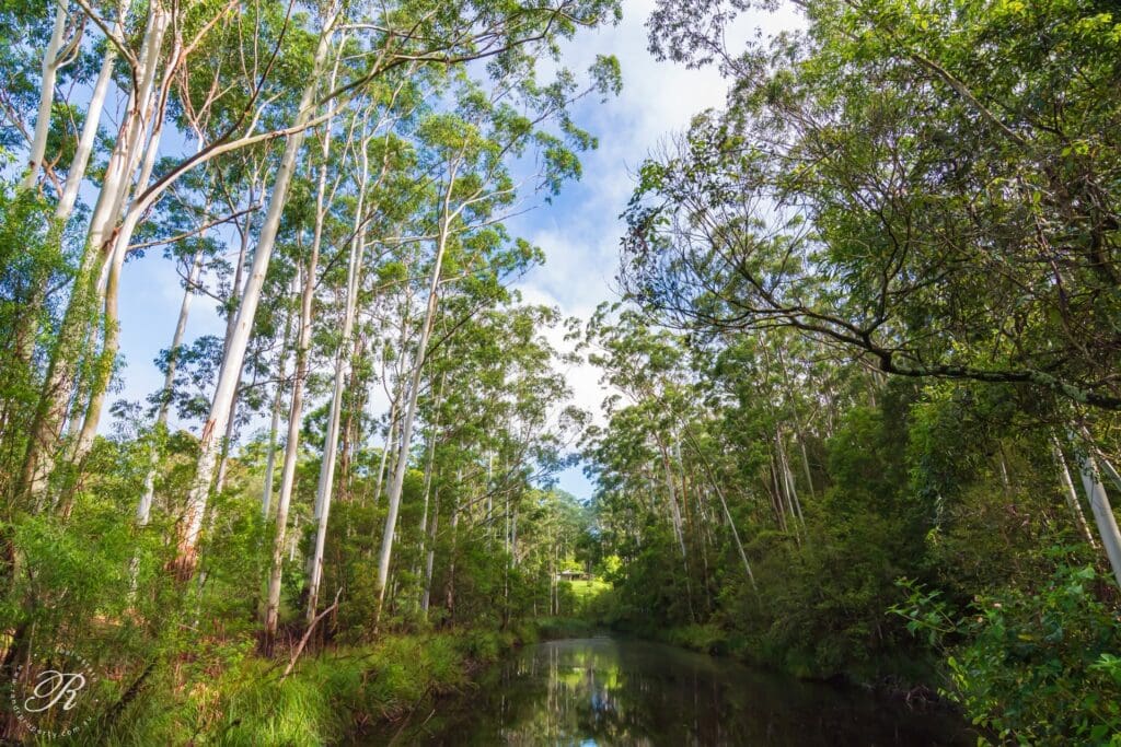 626 Newmans Road, Wootton, NSW 2423 AUS