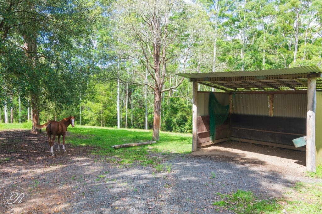 626 Newmans Road, Wootton, NSW 2423 AUS