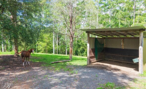 626 Newmans Road, Wootton, NSW 2423 AUS