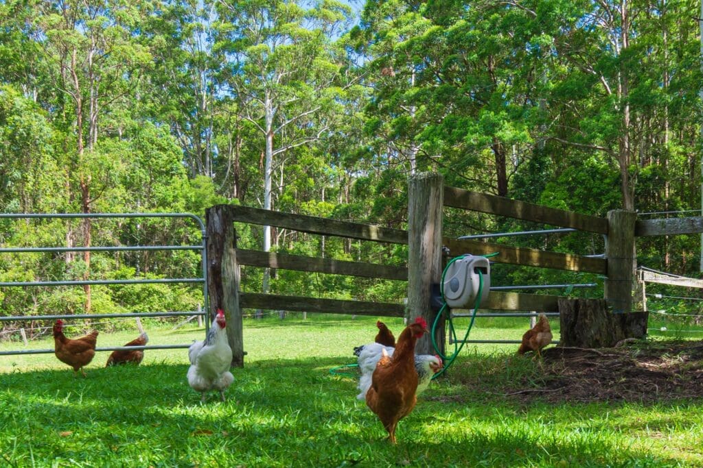 626 Newmans Road, Wootton, NSW 2423 AUS