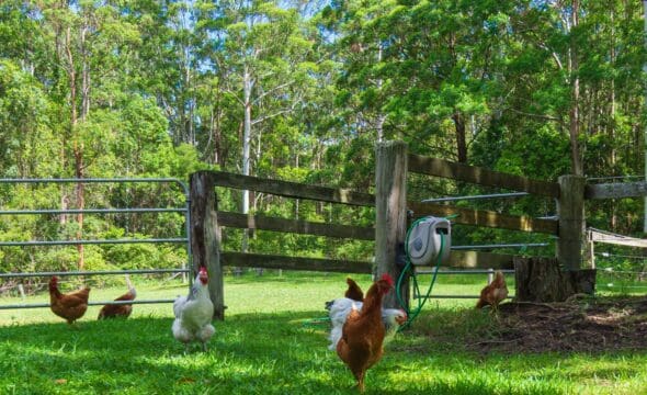 626 Newmans Road, Wootton, NSW 2423 AUS