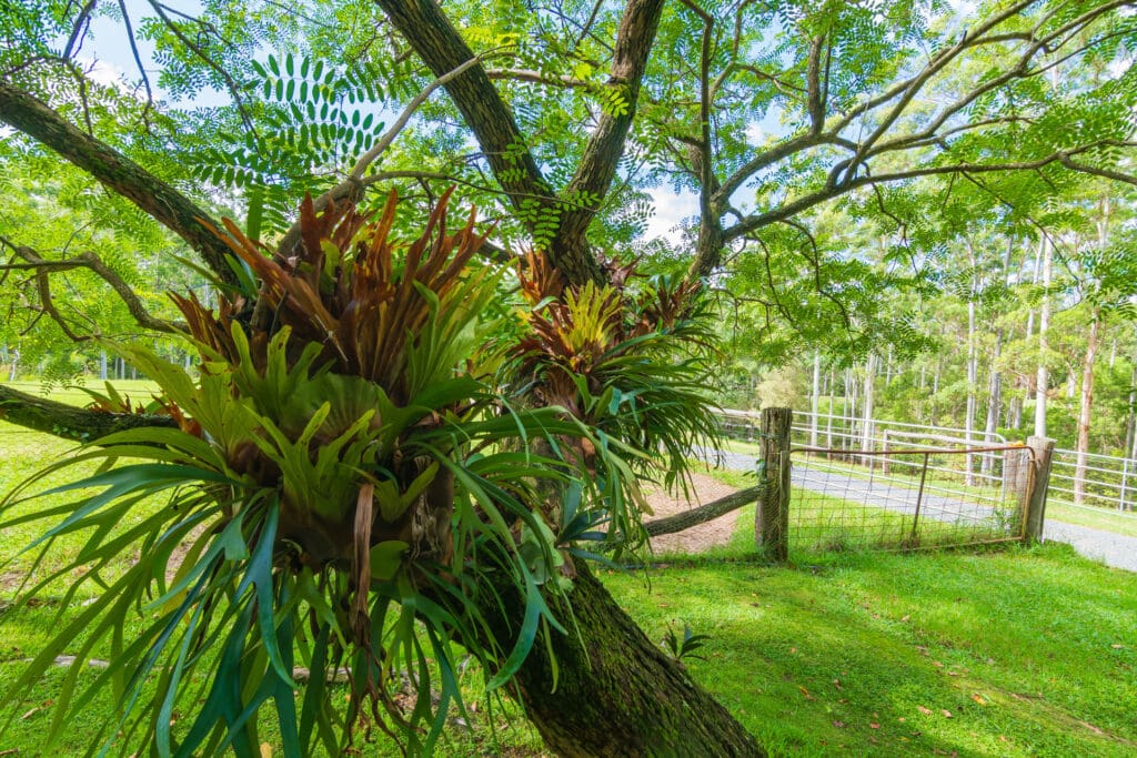 626 Newmans Road, Wootton, NSW 2423 AUS