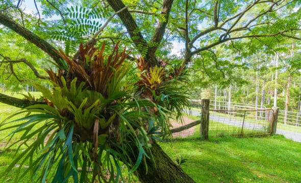 626 Newmans Road, Wootton, NSW 2423 AUS