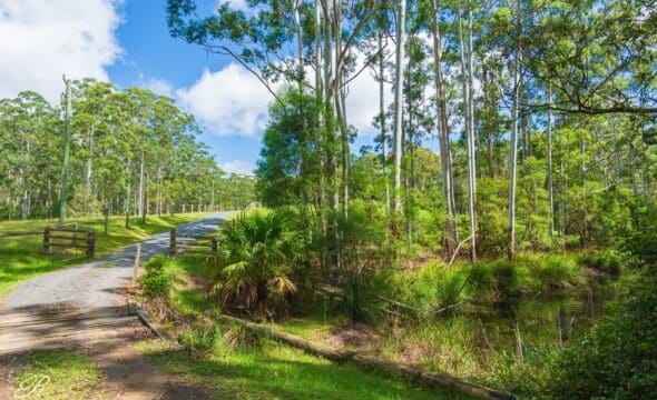 626 Newmans Road, Wootton, NSW 2423 AUS