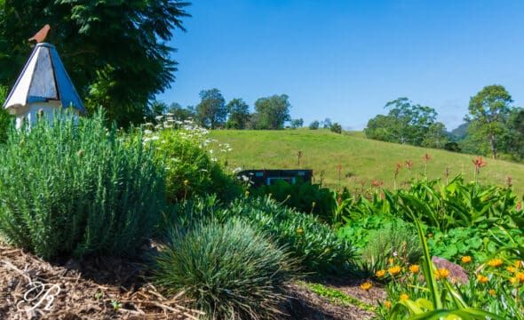 Stroud, NSW 2425 AUS