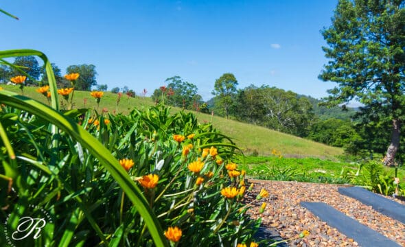 Stroud, NSW 2425 AUS