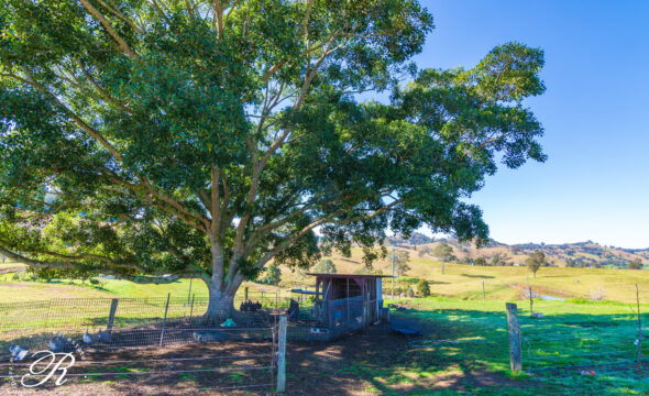 Gloucester, NSW 2422 AUS