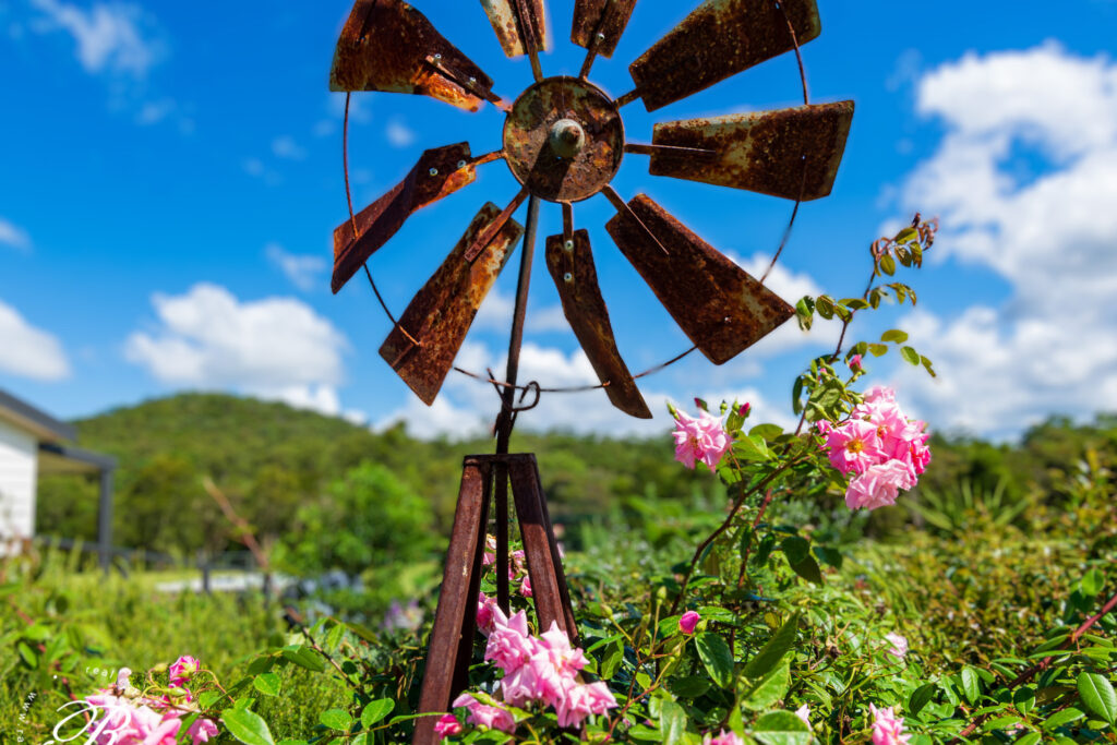 72 Suncrest Close, Bulahdelah, NSW 2423 AUS