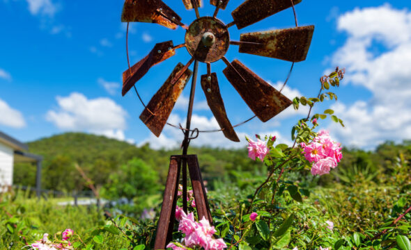 72 Suncrest Close, Bulahdelah, NSW 2423 AUS