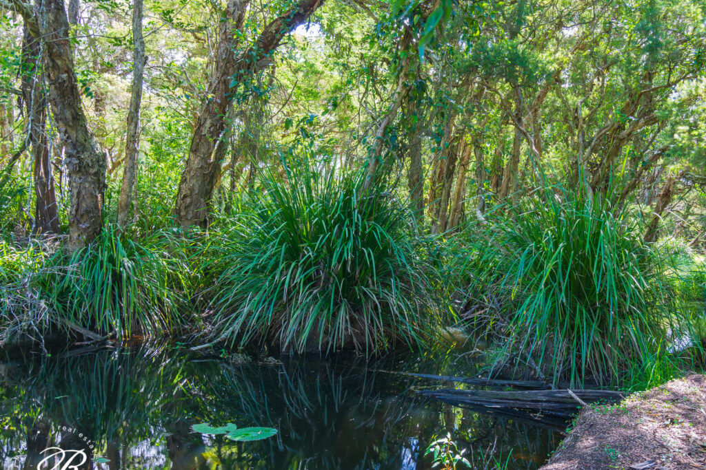 72 Suncrest Close, Bulahdelah, NSW 2423 AUS