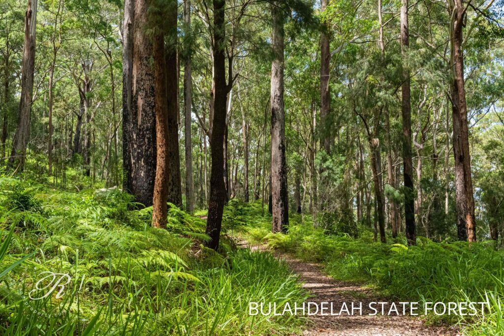 72 Suncrest Close, Bulahdelah, NSW 2423 AUS