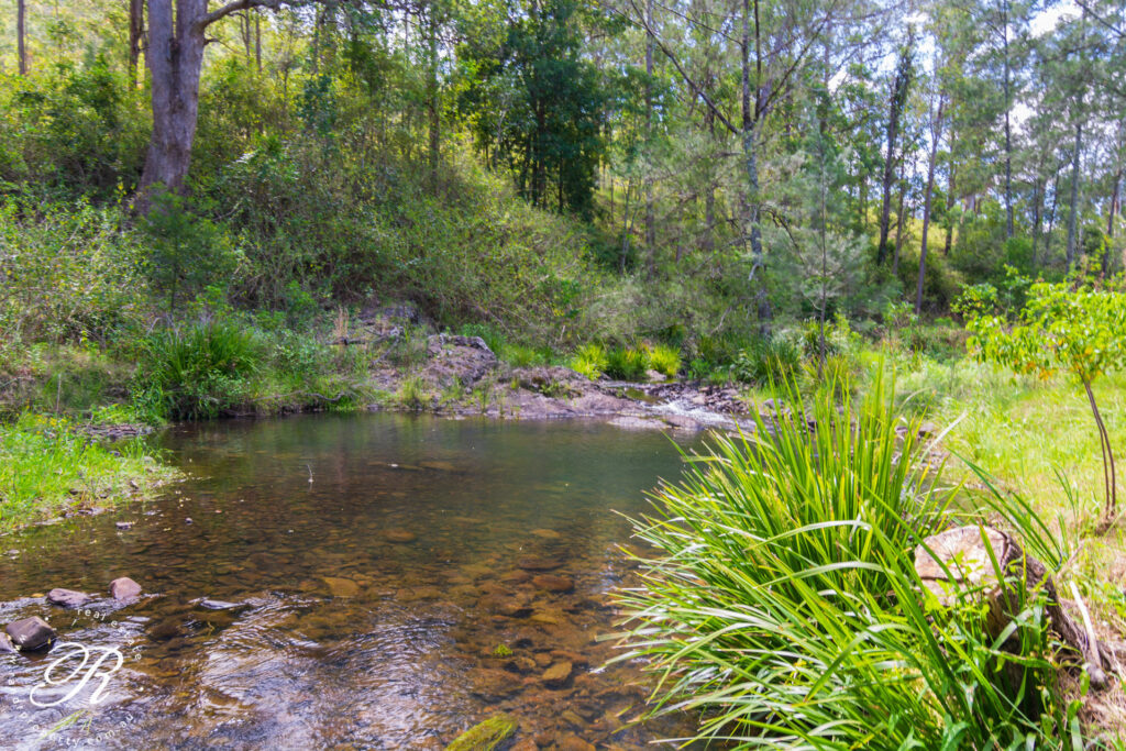 1450 Bowman River Road, Bowman, NSW 2422 AUS