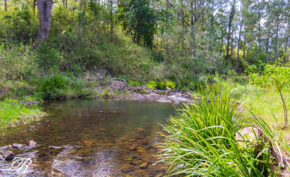 1450 Bowman River Road, Bowman, NSW 2422 AUS