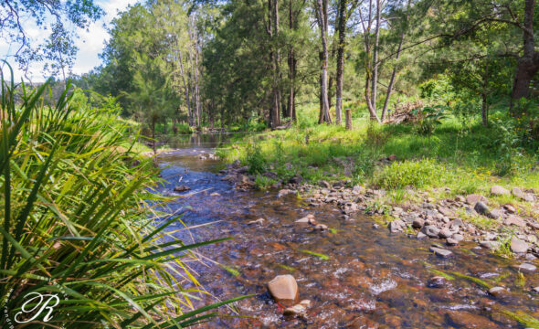 1450 Bowman River Road, Bowman, NSW 2422 AUS