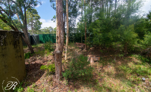 41 Whimbrel Drive, Nerong, NSW 2423 AUS