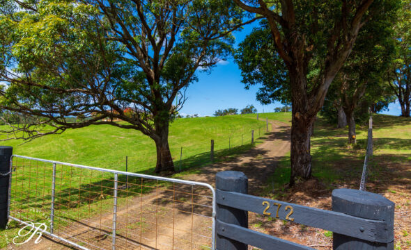 272 Wattley Hill Road, Wootton, NSW 2423 AUS