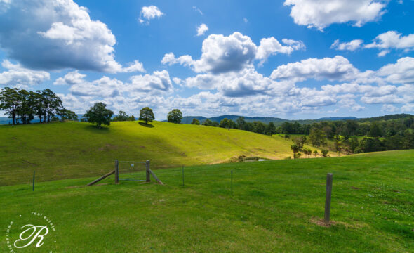 272 Wattley Hill Road, Wootton, NSW 2423 AUS