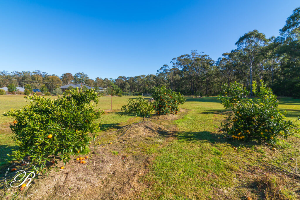 44 Paperbark Drive, Clarence Town, NSW 2321 AUS