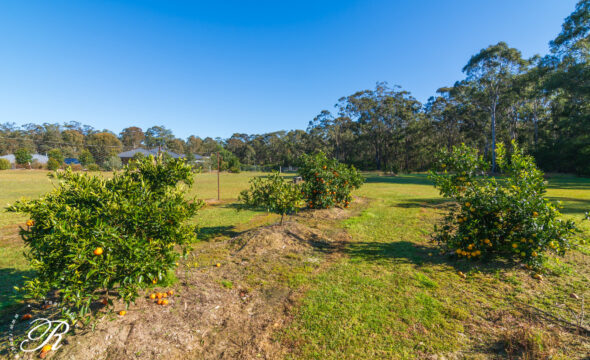 44 Paperbark Drive, Clarence Town, NSW 2321 AUS