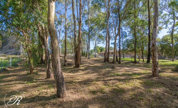 15 Scott Street, Seaham, NSW 2324 AUS