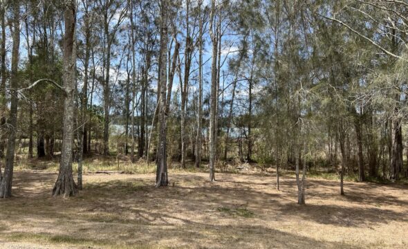 24 Coomba Road, Coomba Park, NSW 2428 AUS