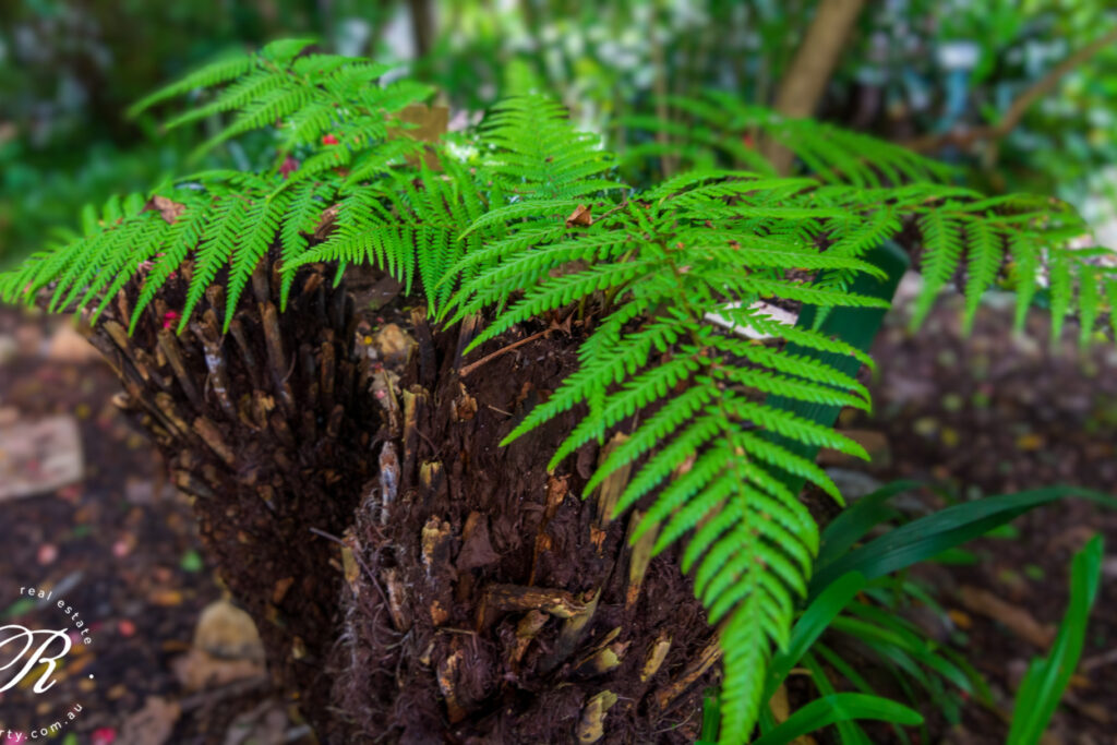 22 Memorial Avenue, STROUD, NSW 2425 AUS