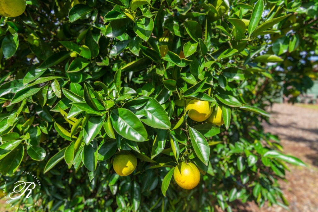 22 Memorial Avenue, STROUD, NSW 2425 AUS