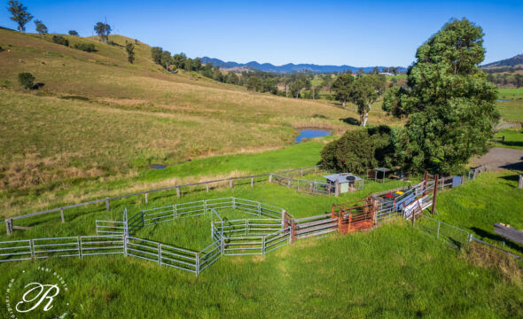 264 Bowman Farm Road, BARRINGTON, NSW 2422 AUS