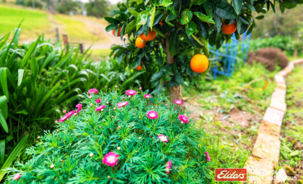 299 Sawpit Lane, GLOUCESTER, NSW 2422 AUS
