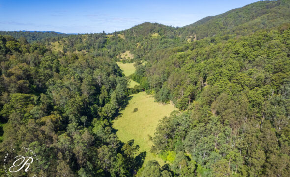 2263 Monkerai Road, MONKERAI, NSW 2415 AUS