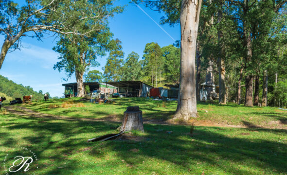 2263 Monkerai Road, MONKERAI, NSW 2415 AUS