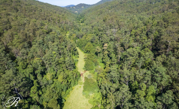 2263 Monkerai Road, MONKERAI, NSW 2415 AUS