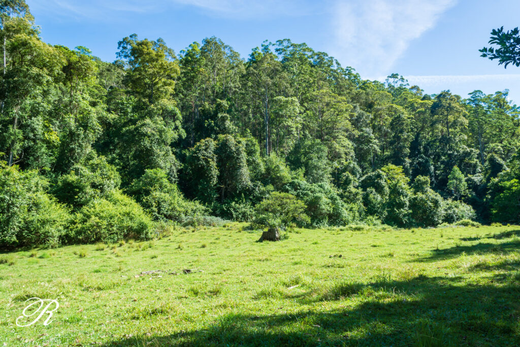 2263 Monkerai Road, MONKERAI, NSW 2415 AUS