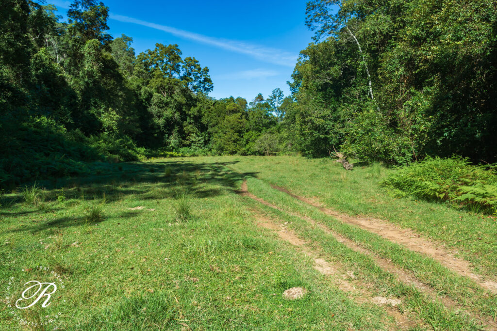 2263 Monkerai Road, MONKERAI, NSW 2415 AUS