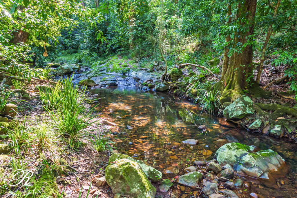 2263 Monkerai Road, MONKERAI, NSW 2415 AUS