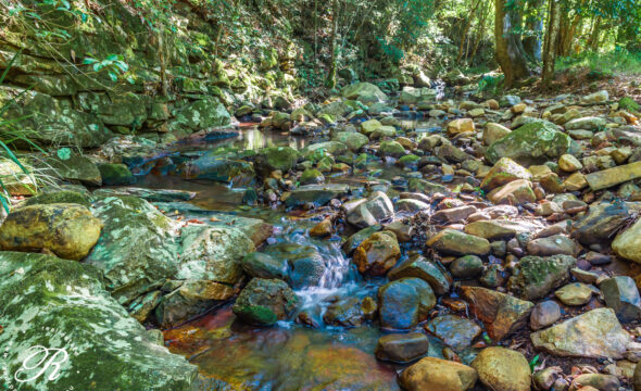 2263 Monkerai Road, MONKERAI, NSW 2415 AUS