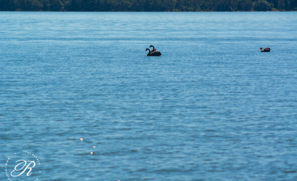 27 Waterfront Road, SWAN BAY, NSW 2324 AUS