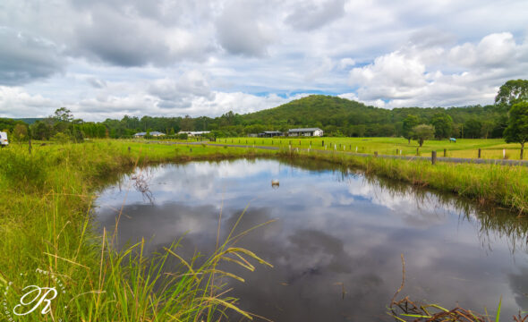 53 Suncrest Close,, BULAHDELAH, NSW 2423 AUS