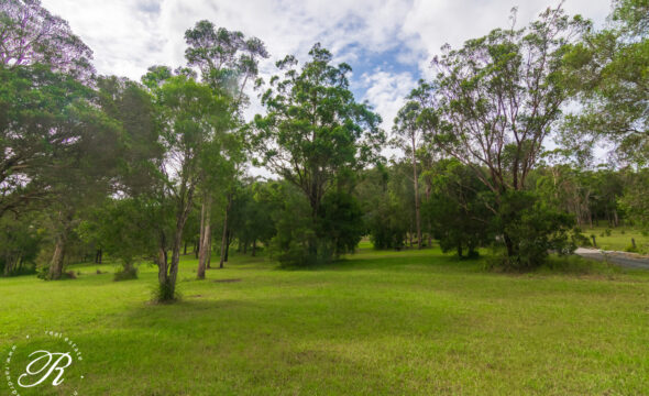 53 Suncrest Close,, BULAHDELAH, NSW 2423 AUS
