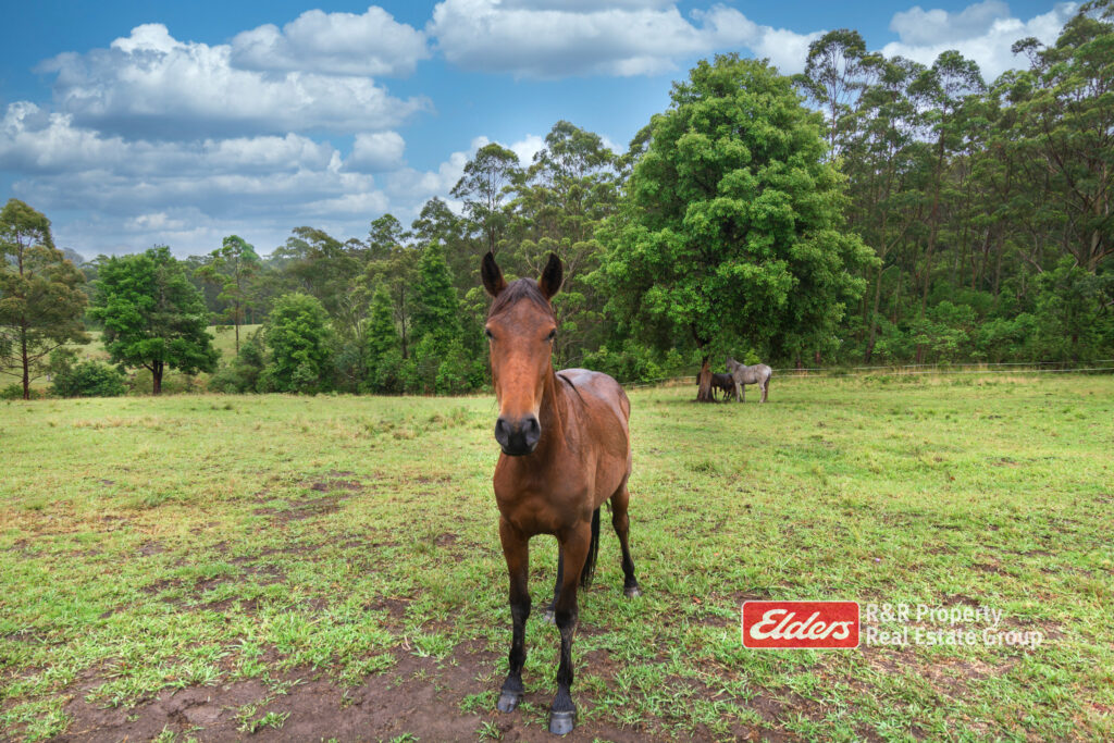 1822 Wootton Way, WOOTTON, NSW 2423 AUS