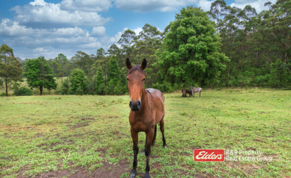 1822 Wootton Way, WOOTTON, NSW 2423 AUS