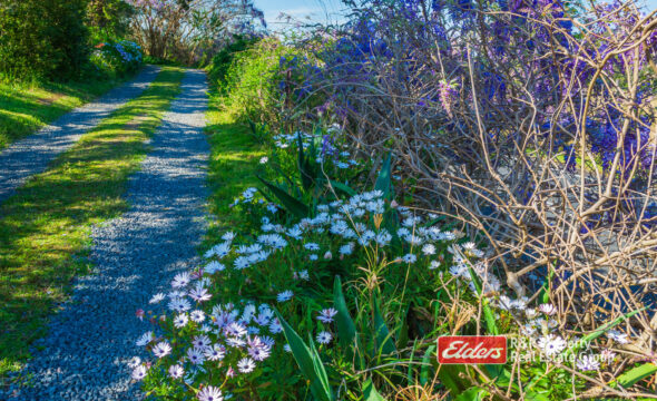 1126 The Bucketts Way, STROUD ROAD, NSW 2415 AUS