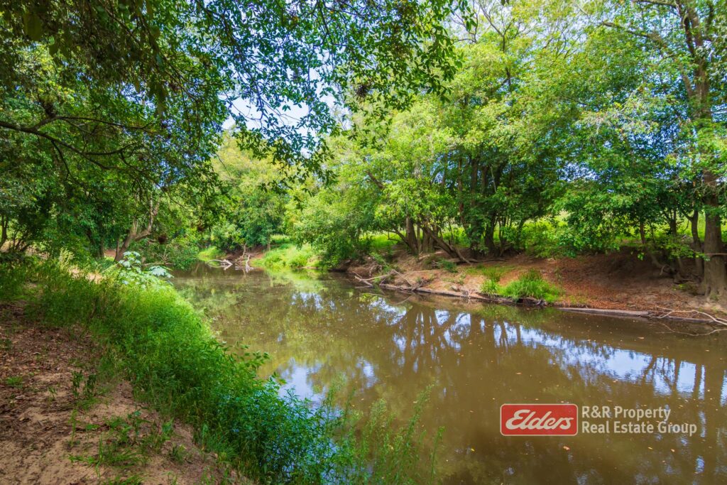 647 Markwell Back Road, MARKWELL, NSW 2423 AUS