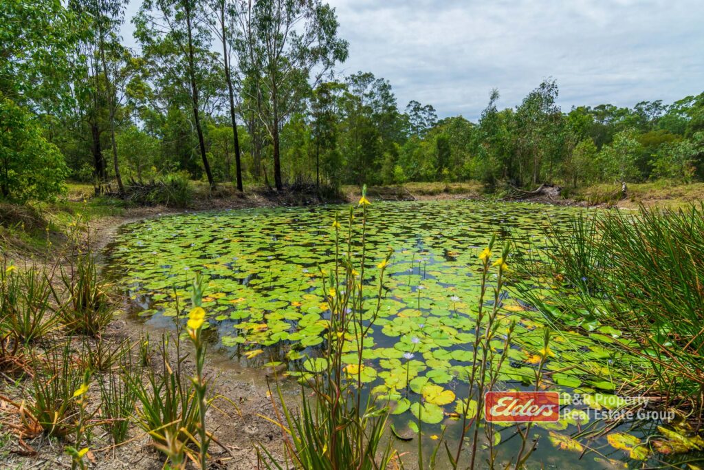 647 Markwell Back Road, MARKWELL, NSW 2423 AUS
