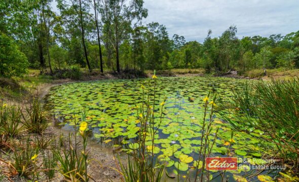 647 Markwell Back Road, MARKWELL, NSW 2423 AUS