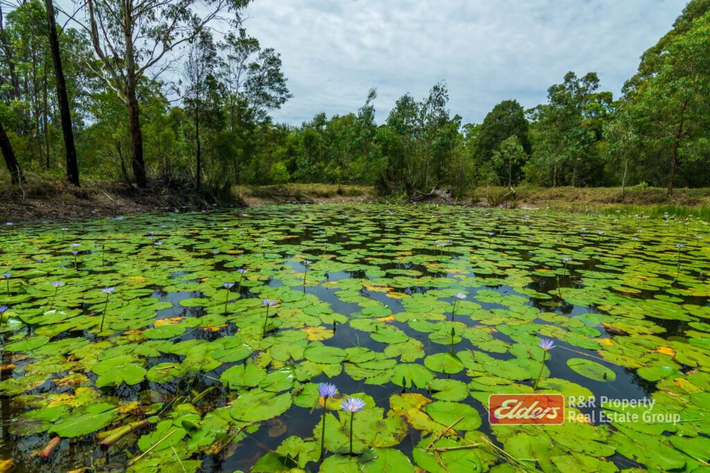 647 Markwell Back Road, MARKWELL, NSW 2423 AUS