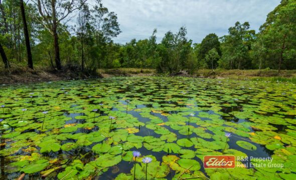 647 Markwell Back Road, MARKWELL, NSW 2423 AUS